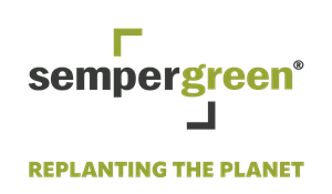 Sempergreen